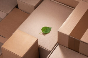 a green leaf laid upon cardboard boxes to shoe green commitment