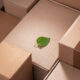 a green leaf laid upon cardboard boxes to shoe green commitment