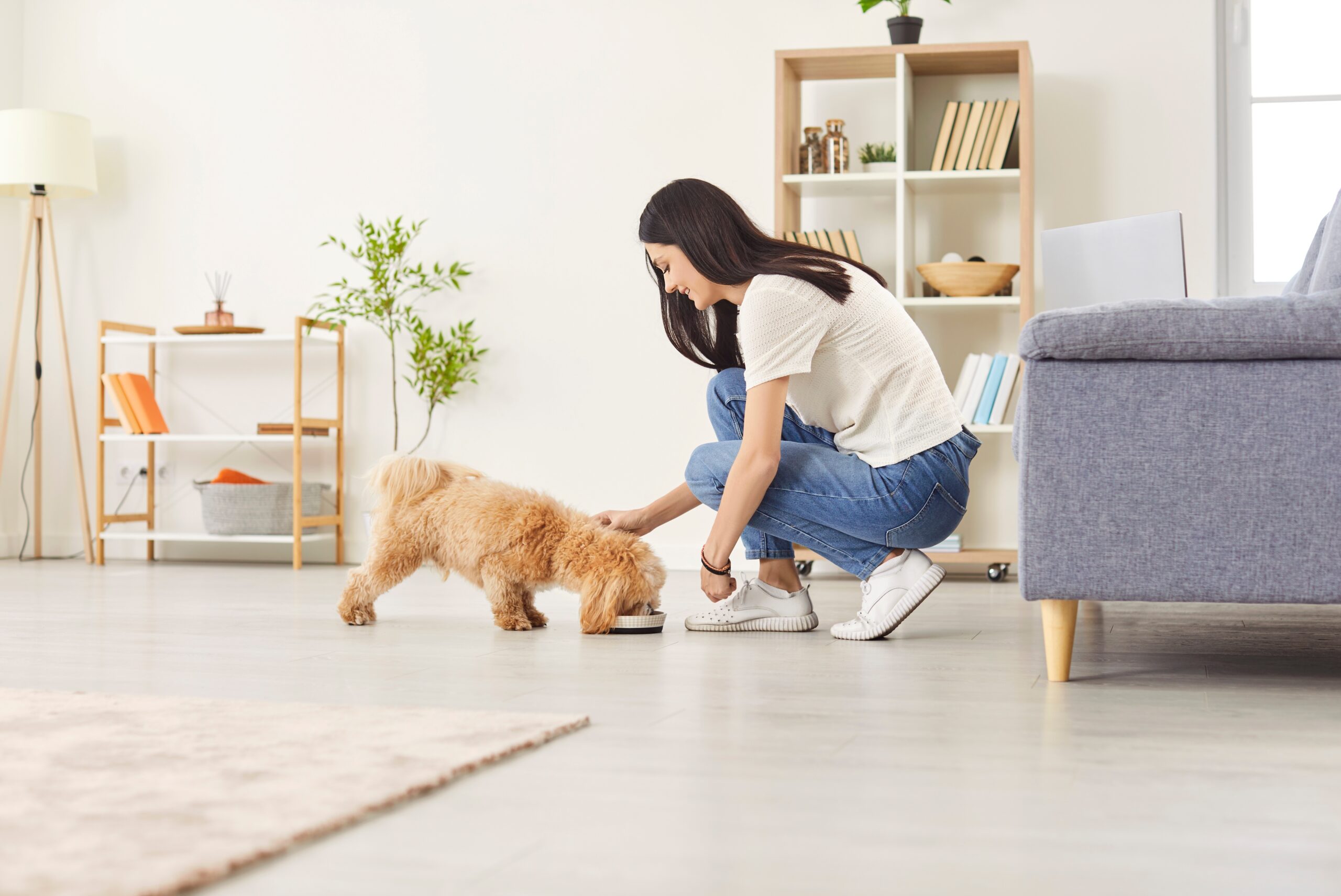 An image of someone moving home with a dog and geeding them out of a bowl.