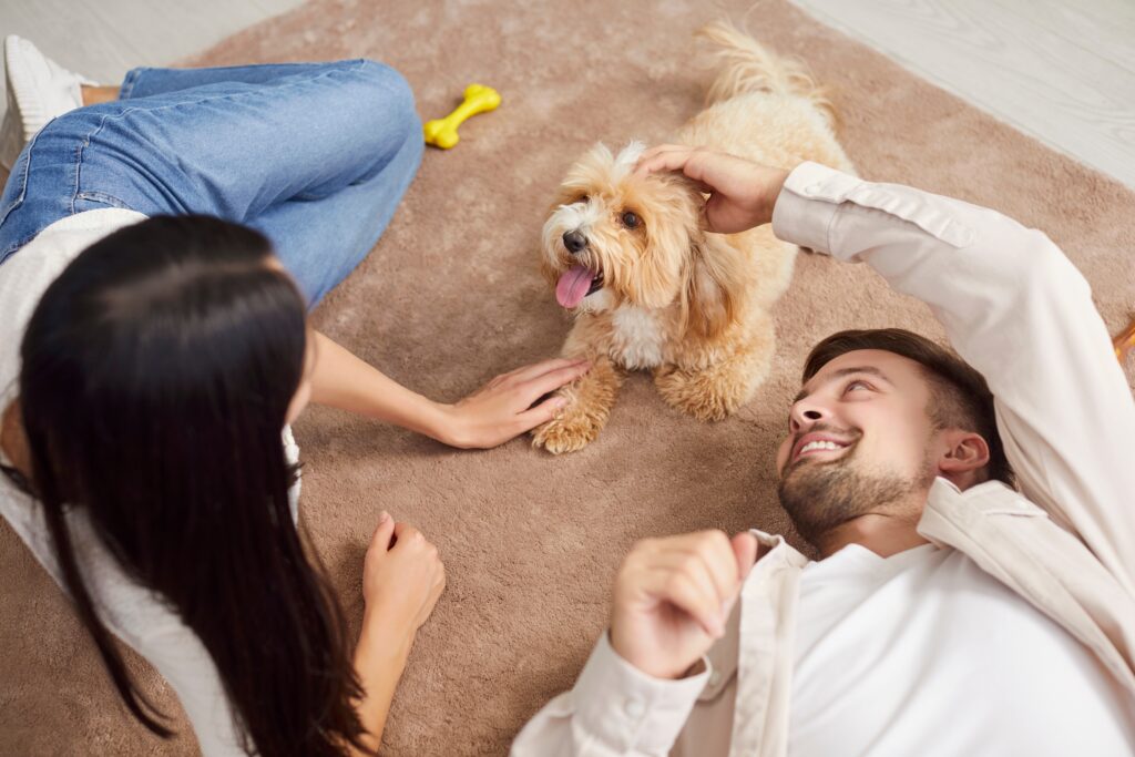 An image of a young couple moving home with their dog and cuddling it.
